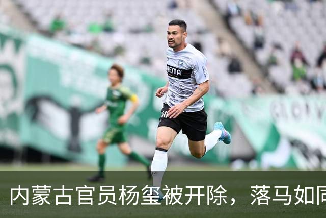 内蒙古官员杨玺被开除，落马如同“热锅上的蚂蚁